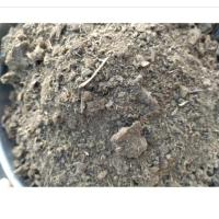 ราคา มูลขี้ควายแท้ใช้เป็นปุ๋ยที่ควายแท้ไม่ผสมขี้ควายตากแห้งขี้วัวตากแห้งถุงละ 1 กิโลกรัม (22127896287)