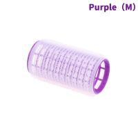 ราคา Gogirl 1ชิ้นคลิปหนีบผมหน้าม้าม้วนผมหน้าม้าผมลอนสำหรับร้านทำผม DIY (19953460773)