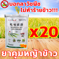 ราคา 1วันกำจัดวัชพืชให้หมด ยาฆ่าหญ้า ซื้อ1แถม1 ยาฆ่าหญ้าในนาข้าว ไม่ทำร้ายข้าว แต่ฆ่าวัชพืช ยาฆ่าหญ้าในนา กำจัดวัชพืชไนนาข้าวได้ 99 สารกำจัดวัชพืชในนาข้าว ยาฆ่าหญ้าในนาขาั้ว หลังใช้ ไม่มีวัชพืชอีกต่อไป ยา 