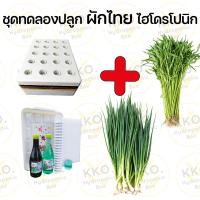 ราคา ชุดปลูก ชุดปลูกผักไทยและผักสลัด ชุดปลูกผักไฮโดร และอุปกรณ์ยกชุด เลือกเมล็ดผักเองได้ (22180070438)