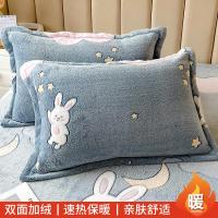 ราคา Annabelle Dream Milk Velvet ปลอกหมอนคู่ Winter Coral Velvet ปลอกหมอนเดี่ยวโพลีเอสเตอร์ 100 จากมณฑลเจียงซู (21269476162)