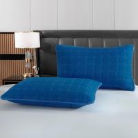 ราคา ปลอกหมอน ปลอกหมอนรองกันเปื้อน ปลอกหมอนใยไหม กันเปื้อน จำนวน 2 ผืน (22284274590)