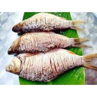 ราคา Foods Bannaปลาส้ม ส้มปลาตะเพียนไร้ก้าง ไซส์ใหญ น้ำหนัก400 500กรัม ตัว เขาเรียกแบบนั้นเฉยๆยังคงมีก้างเหมือนเดิมแต่จะบั้งถี่ไปทำให้ก้างเล็กลงด้วยความเป็นปลาส้มก้างเล็กๆจะอ่อน (22006536631)