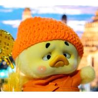 ราคา พร้อมส่ง ชุดพระเป็ดหน้าบึ้ง ชุดพระเป็ดupsetduck ชุดเป็ดupsetduck (22275193763)