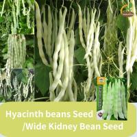 ราคา เมล็ดสด 100 เมล็ดถั่วปากอ้า Wide Kidney Bean Seeds ถั่ว Wang Chunqiu High Yield เมล็ดถั่วยาว (22051616399)