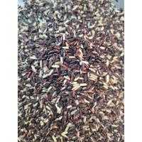 ราคา ข้าวเหนียวแดง ข้าวอินทรีย์ (21440870486)