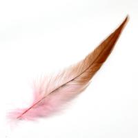 ราคา ขนนกไก่ตัวผู้ไก่ขนไก่ฟ้าคุณภาพสูง100ชิ้นสำหรับงานฝีมือ DIY เครื่องประดับขนนกตกแต่ง (20067820324)