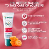 ราคา Himalaya Lip Balm 10 g ลิปบาล์ม (22179438854)