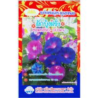 ราคา เมล็ดดอกผักบุ้งฝรั่ง MORNING GLORY MT FW 10 เมล็ดพันธุ์ดอกผักบุ้งฝรั่ง เมล็ดพันธุ์ดอกไม้ เมล็ดดอกไม้ ตราภูเขาทอง (20139895128)