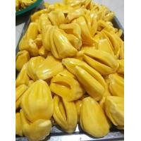 ราคา ต้นขนุนเพชรราชา ทาบกิ่ง สุดยอดความหวาน กรอบ หอมและอร่อยที่สุด ขนุนเพรชราชา พันธุ์ดกพิเศษ ต้นทาบกิ่ง ติดผลไวจ้า ต้นสูง 50 60 ซม ปลูกง่าย ทนต่อทุกสภาพอากาศ (16030030651)