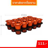 ราคา กระถาง ถาดหลุมกลมพร้อมกระถางต้นไม้ ชุดเช็คถาดหลุม 3 นิ้ว 15 หลุม กระถางปากแตร 3 นิ้ว (21646111159)