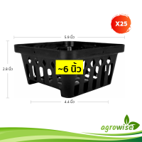 ราคา กระถางต้นไม้ กระถางกล้วยไม้ กระถางแขวน กลม 4 เหลี่ยม 3 3 5 4 6 8 นิ้ว (21405707450)