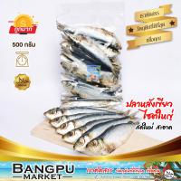 ราคา ปลาหลังเขียวใหญ่ ตากแห้ง 0 5 1 kg ถอดเกล็ด ปลาสองแดด ไร้เกล็ด ขนาดใหญ่ ปลาหลังเขียวเค็ม ปลาเค็มไม่มีเกร็ด ปลากุแลตากแห้ง ปลาหลังเขียวแดดเดียว ปลาทะเลตากแห้ง ปลาหลังเขียว ปลากุแลดิบ Dried big greenback
