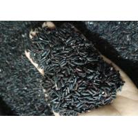 ราคา ข้าวจ้าวไรซ์เบอรี่ (22151797337)