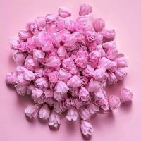 ราคา ถูกที่สุด ดอกข่ากระดิ่งร้อยอุบะ ร้อยมาลัย ทำพวงมาลัย พานขันหมาก พุดดิน พุดร้อยตาข่าย จำปา จำปี พานพุ่ม ดอกข่า ดอกรักปลอม กุหลาบ (22211895209)