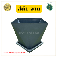 ราคา กระถางเหลี่ยมทรงเพชร ขนาด 9 นิ้ว กระถางต้นไม้พลาสติก กระถางมินิมอล ตกแต่งบ้าน แต่งคอนโด แต่งคาเฟ่ พร้อมส่ง (22334242146)