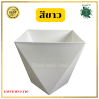 ราคา กระถางเหลี่ยมทรงเพชร ขนาด 9 นิ้ว กระถางต้นไม้พลาสติก กระถางมินิมอล ตกแต่งบ้าน แต่งคอนโด แต่งคาเฟ่ พร้อมส่ง (22334242148)