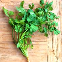 ราคา 100 เมล็ด ผักชี ผักชีลา ผักชีดอย ผักชีใบเลื่อย ผักหอมเทศ ผักหอมเป ผักหอมป้อม ผักชีบ้าน หอมป้อมบ้าน หอมกว่าผักชีตลาด (21900407475)