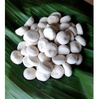 ราคา ลูกแป้งข้าวหมาก เชี้อข้าวหมาก ลูกแป้งข้าวหมากหวาน ลูกแป้ง บรรจุแพ็คละ 5 ลูก (22092441719)