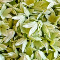 ราคา ถูกที่สุด ดอกข่ากระดิ่งร้อยอุบะ ร้อยมาลัย ทำพวงมาลัย พานขันหมาก พุดดิน พุดร้อยตาข่าย จำปา จำปี พานพุ่ม ดอกข่า ดอกรักปลอม กุหลาบ (22211935353)