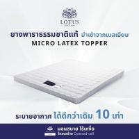 ราคา LOTUS ที่นอนยางพารารุ่น Companion Latex Made In Belgium ส่งฟรี (21723580671)