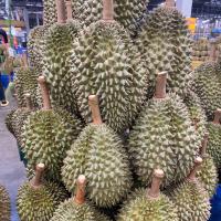 ราคา ส่งฟรี ทุเรียน ทุเรียนชะนีไข่ ทุเรียนจันทบุรี เนื้อเหนียว หวาน มัน อร่อย มีรับประกันจากร้าน (21734680988)