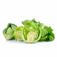 ราคา สดใหม่จากไร่ แขนงกะหล่ำ สด สะอาด รับประกันคุณภาพ ราคา ถูก ส่ง (21016713670)