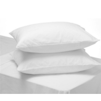 ราคา หมอนหนุนใยบอล 100 สีขาว 19x29 1000 กรัม เกรดโรงแรม Ball Fiber Pillow 100 Hotel Quality (7531456938)