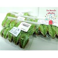 ราคา ใบกุหลาบ ใบไม้ ใบไม้ปลอม No 2 3 4 5 6 7 8 ใน 1 ห่อ มี 100 ใบ (1371682981)