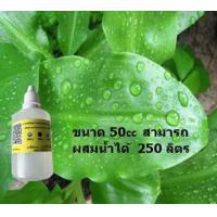 ราคา สารจับใบเข้มข้น แบ่งขาย สำหรับหัวเชื้อชีวภาพ จุลินทรีย์ และ ปุ๋ยอินทรีย์น้ำ (16208271316)