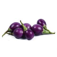 ราคา 50 เมล็ด มะเขือ มะเขือขื่น มะเขือเสวย มะเขือขันคำ เมล็ดพันธุ์แท้ Non GMO Eggplant Seeds มะเขือเปราะม่วง (21784475152)