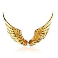 ราคา สติ๊กเกอร์ สติ๊กเกอร์ปีกนางฟ้า 3D สติ๊กเกอร์ตกแต่งรถยนต์ (10126363724)