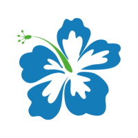 ราคา ตัวรีดติดเสื้อดอกชบา ลายใหม่ สวยๆ FP 02 รีดติดง่ายทุกเนื้อผ้า (21993657782)