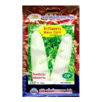 ราคา เมล็ดข้าวโพดขาว Waxy Corn MT OP 062 ตราภูเขาทอง เมล็ดพันธุ์ผัก เมล็ดพันธุ์ข้าวโพดขาว เมล็ดข้าวโพด เมล็ดพันธุ์ข้าวโพด (20126522125)