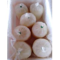 ราคา Pre order 5 days วัน นมแพะแท้ ๆ สด ๆ นมแพะดิบแท้ 100 จากฟาร์มแพะ จ สระบุรี ขั้นต่ำ 3 โล Fresh Goat Milk Freeze Minimum 3 kg (21953399914)