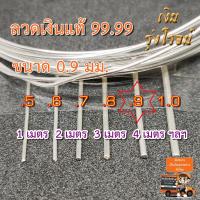 ราคา ลวดเงินแท้ 99 99 0 9มิล ลวดเงิน บริสุทธิ 99 99 Pure Silver 99 99 0 9mm (5451902180)