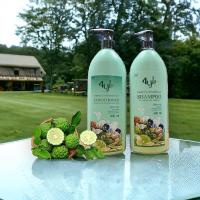 ราคา ขวดใหญ่ 400 ml แชมพูสมุนไพร 4YL Thailand แชมพูมะกรูด แชมพูใบหมี่ (21437287712)