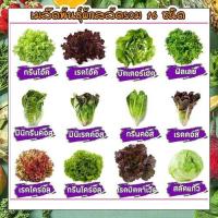 ราคา เมล็ดผักสลัด 16 ชนิด 1600 เมล็ด 159 บาท กรีนคอสเรดคอส เรดคอรอล ฟิลเลย์ มินิคอส มีคู่มือการปลูก (21085582965)