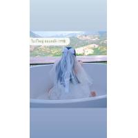 ราคา สินค้าพร้อมส่ง เวลเจ้าสาว ผ้าคลุมผมเจ้าสาว โบว์เจ้าสาว เครื่องประดับผมเจ้าสาว (20215508653)