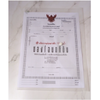 ราคา ซองโฉนด ซองแฟ้มใส่โฉนดที่ดินแบบใส 1 กระดุม ขนาด B4 (19602622615)