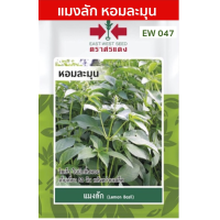 ราคา รวมผักศรแดง ผักซอง ศรแดง 50 กว่าชนิด OP ซองประหยัด พริก ฟักทอง มะละกอ ผักชี คะน้า กะเพรา (20252866927)