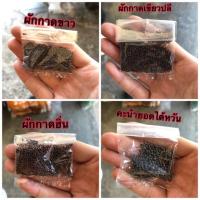 ราคา ผักกาดขาว ผักกาดเขียวปลี ผักกาดฮิ่น คะน้ายอดไต้หวัน ซองละ 5 บาท (21888559103)