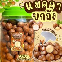 ราคา แมคคาถัง1กิโล แมคคาเดเมีย ร้านตุ๊กกี้ตัวแสบ คัดพิเศษ ไซต์จัมโบ้ (22404131554)