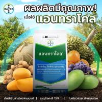 ราคา แอนทราโคล โพรพิเนบ 70 WP ขนาด 500g กำจัดเชื้อรา เป็นสารป้องกันโรคใบจุดสีน้ำตาล โรคแอนแทรคโนส ราน้ำค้าง ใบจุดสีม่วง (21194004540)