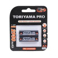 ราคา iถ่านชาร์จ Toriyama AA 2950mAh PRO Ni Mh แพ็ค 2 ก้อน (741206998)