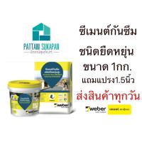 ราคา Weber ดรายวันเค เฟล็กชิลด์ 1กิโลกรัม แถมแปรงทาสี (9646759134)