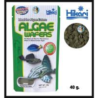 ราคา Hikari Algae Wafer อาหารปลา สำหรับปลากินพืช กินตะไคร่น้ำ ปลาแพะ ปลาหมู ชนิดแผ่นจมน้ำ (19011678377)