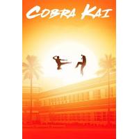 ราคา DVD ซีรีย์ ฝรั่ง Cobra Kai Season 1 4 คอบร้า ไค ซีซั่น 1 4 ดีวีดี ซีรีส์ พากย์อังกฤษ ซับไทย (22173065122)
