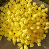 ราคา ถูกที่สุด ดอกข่ากระดิ่งร้อยอุบะ ร้อยมาลัย ทำพวงมาลัย พานขันหมาก พุดดิน พุดร้อยตาข่าย จำปา จำปี พานพุ่ม ดอกข่า ดอกรักปลอม กุหลาบ (22211895211)