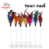 ราคา ของเล่นแมว ไม้ตกแมว ไม้ล่อแมว พู่แมว (19164757813)